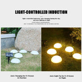 Ball Shaped Solar Ground Light Garden Lawn Lamp 5 LEDs Outdoor Waterproof-TI00801-Veeddydropshipping